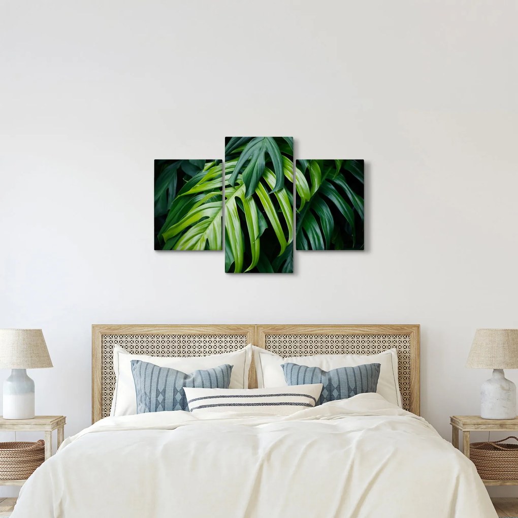 Tablou - Frunze tropicale (90x60 cm)