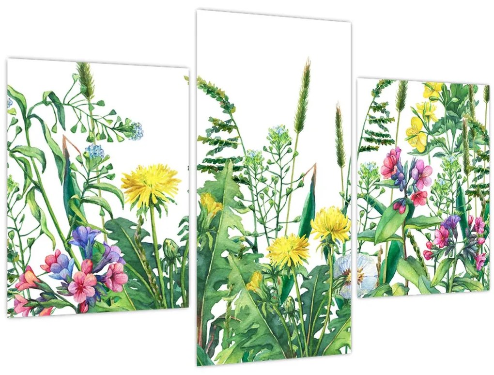 Tablou - Flori de pajiște pictate (90x60 cm)