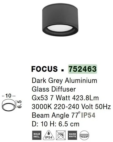 Plafoniera pentru exterior design modern IP54 Focus gri inchis