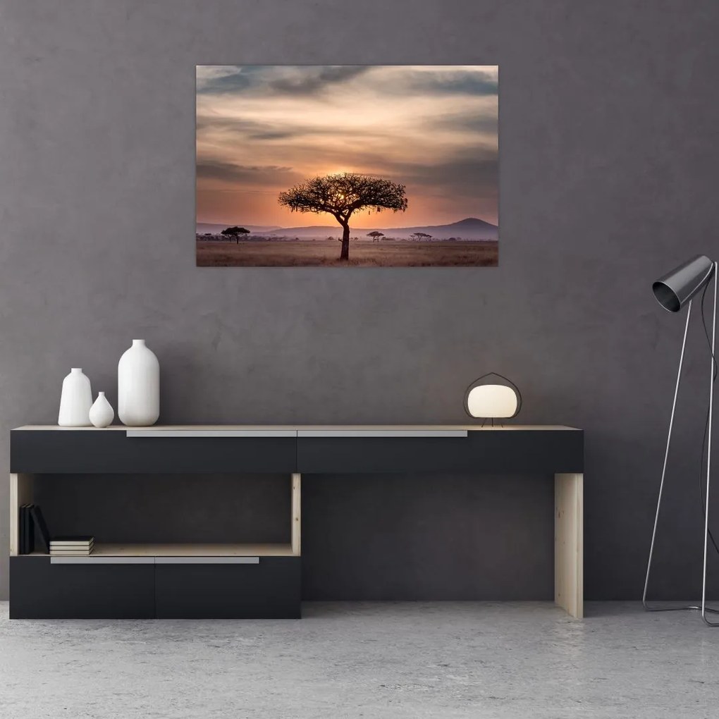 Tablou apusului de soare în Tanzania (90x60 cm)
