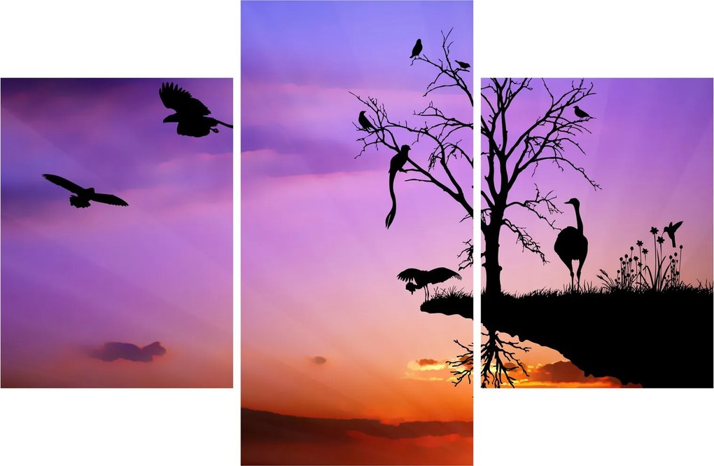 Tablou - Siluetele animalelor (90x60 cm)