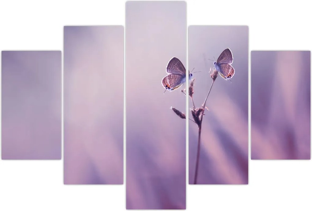 Tablou - Fluturi mov (150x105 cm)