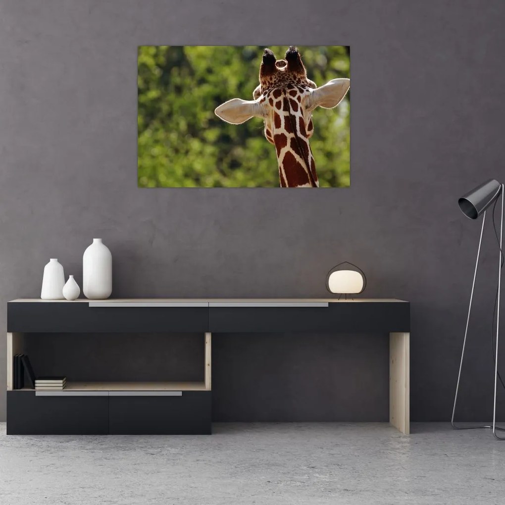 Tablou cu girafă din spate (90x60 cm)