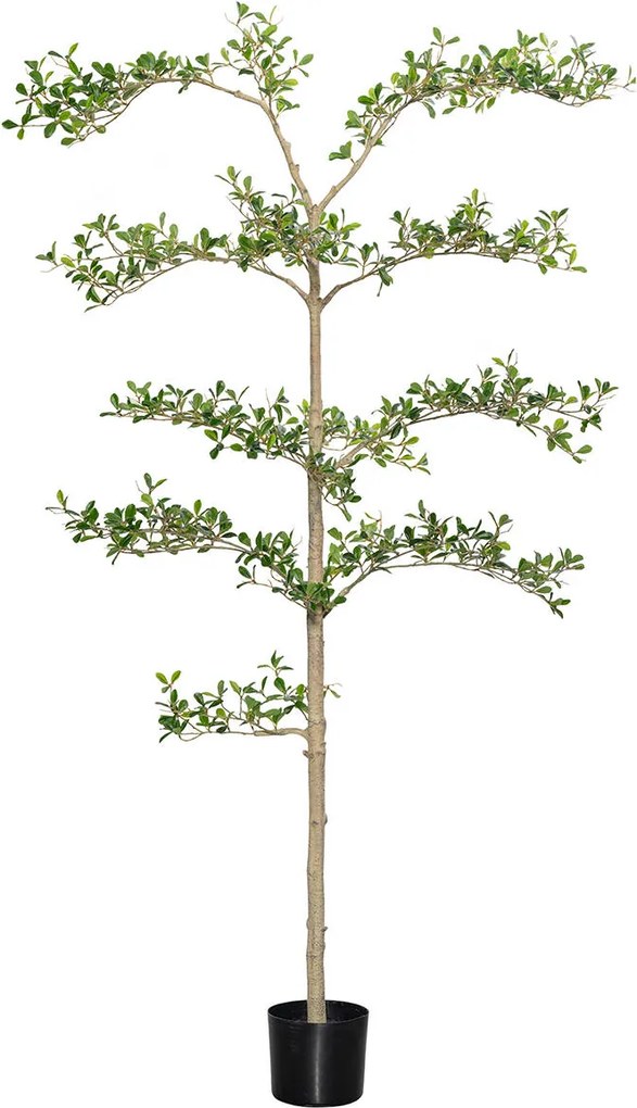 Copac artificial realist Bucida buceras Shady Lady, dimensiuni multiple - PotteryPots mărimea: L - ø 48 cm | înălțime 180 cm
