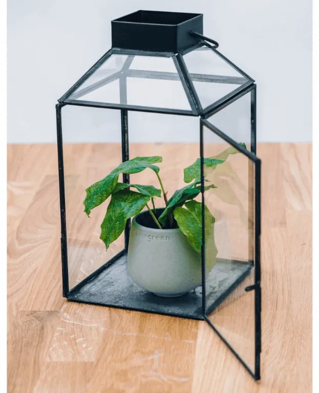 Räder Vas din ceramica Culoare Verde, EVERGREEN