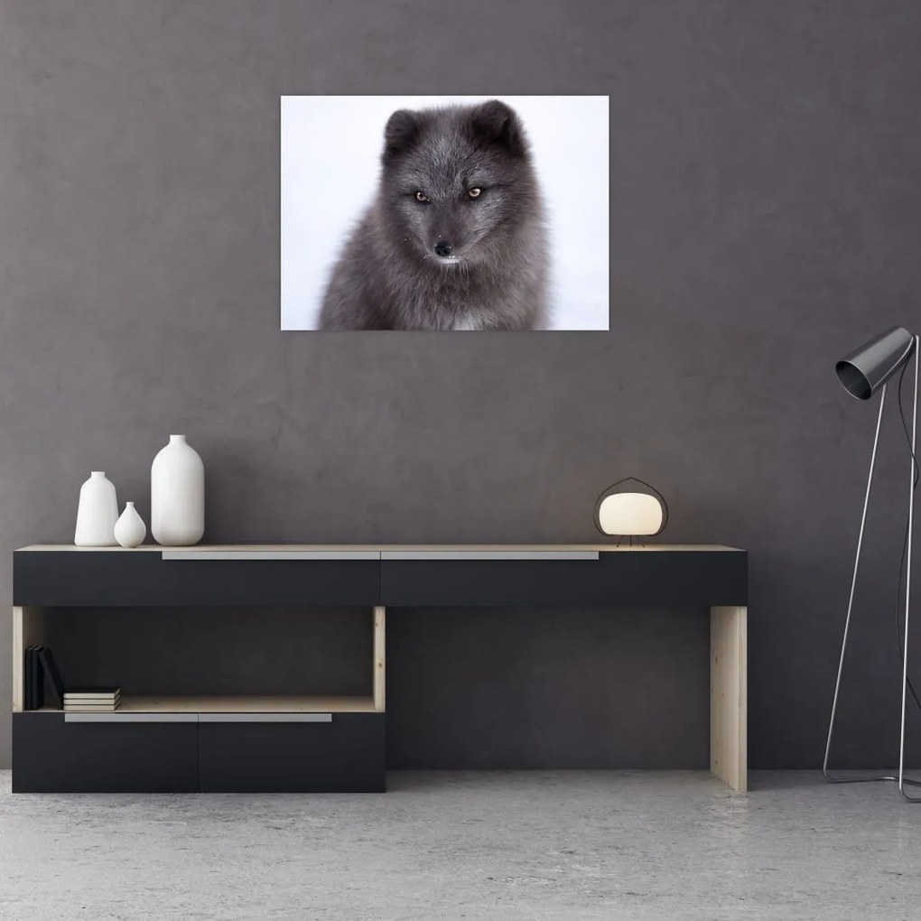 Tablou pe sticlă cu vulpe polară (70x50 cm)