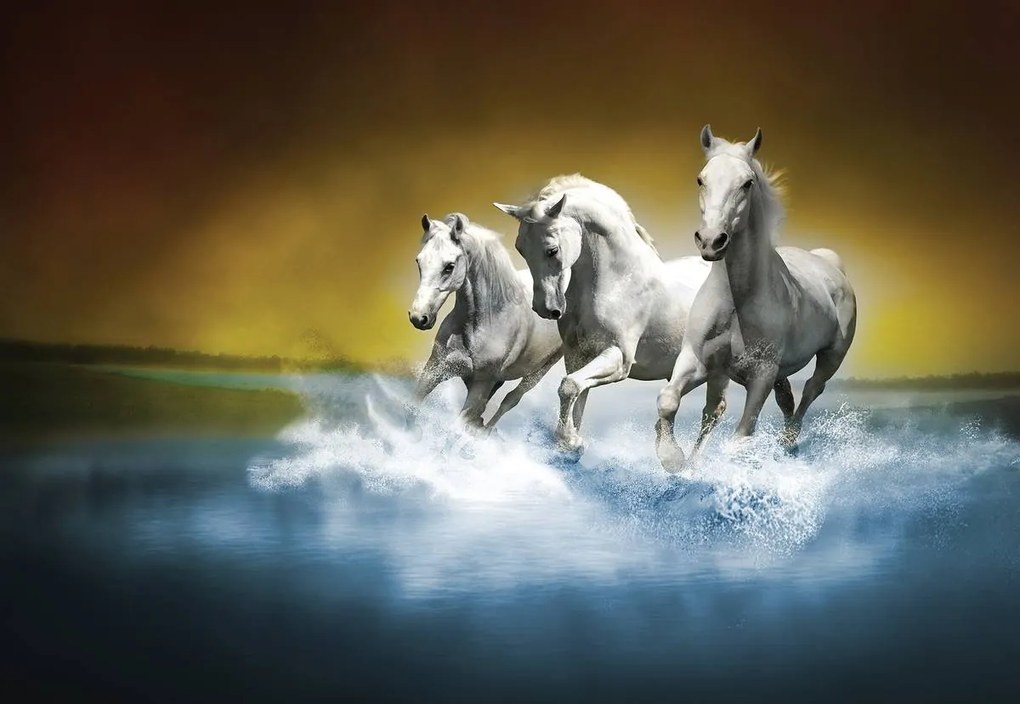 Fototapet - Calul alb în galop pe apă (152,5x104 cm)