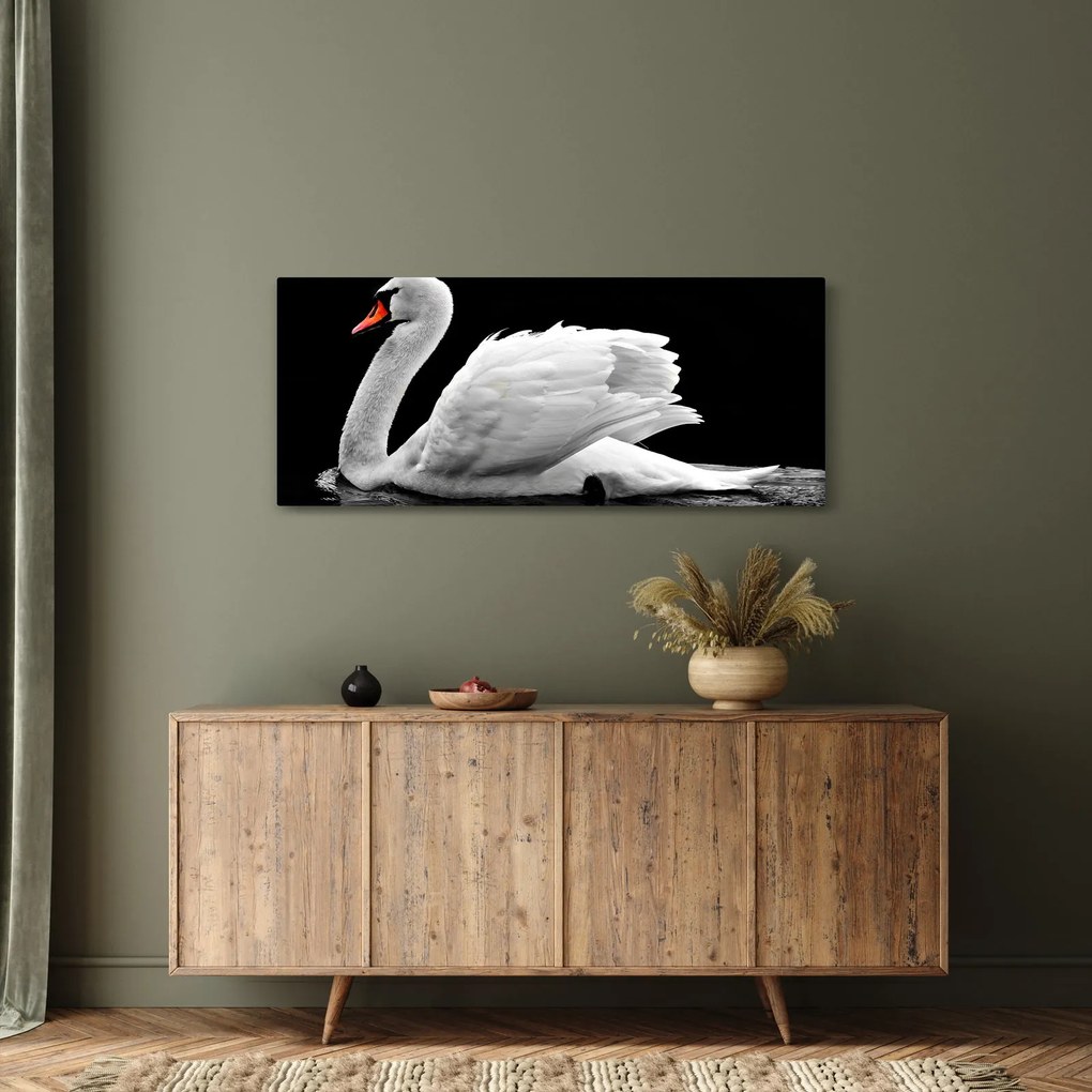 Tablou cu lebăda alb neagră (120x50 cm)