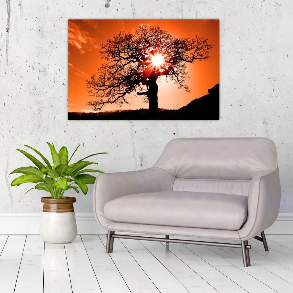 Tablou - Fag la apus de soare (90x60 cm)