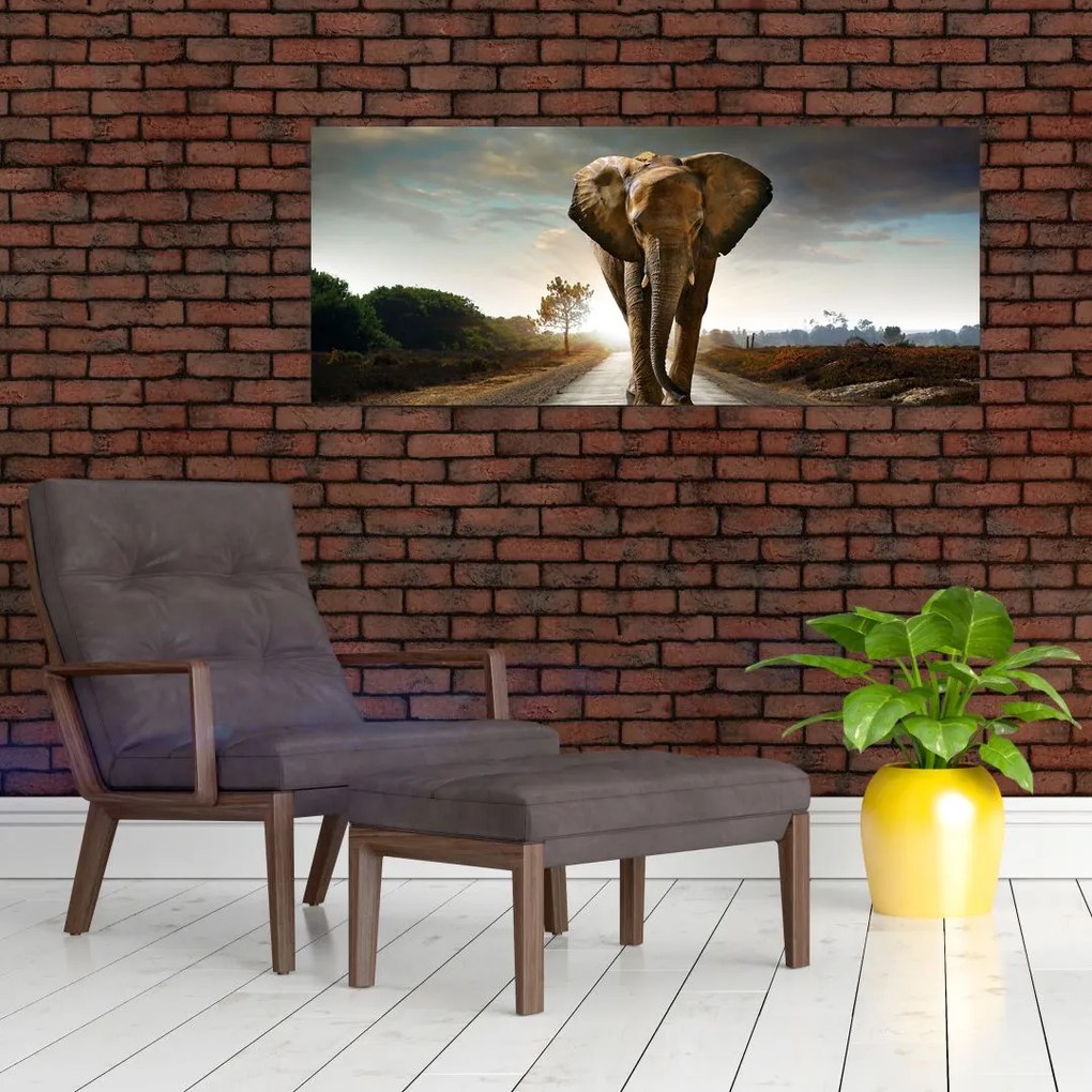Tablou cu elefant (120x50 cm)