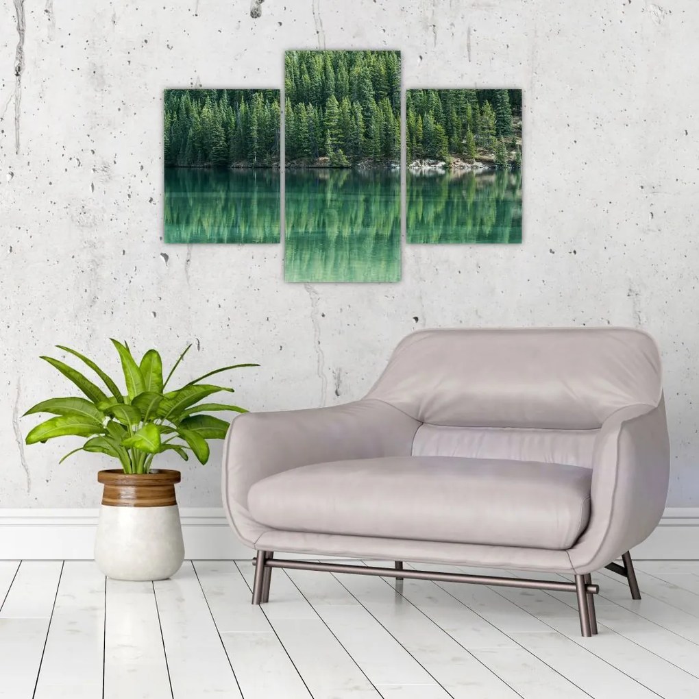 Tablou - Coniferi lângă lac (90x60 cm)