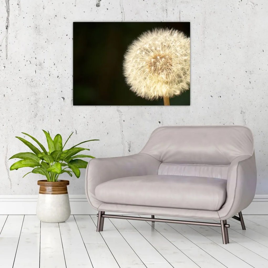Tablou cu păpădie gri (70x50 cm)
