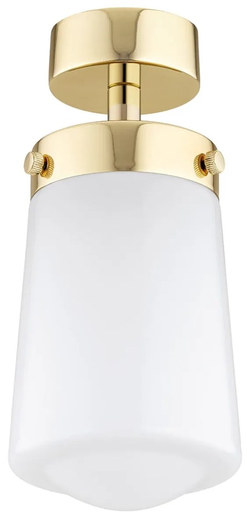 Plafoniera design modern PASADENA alama