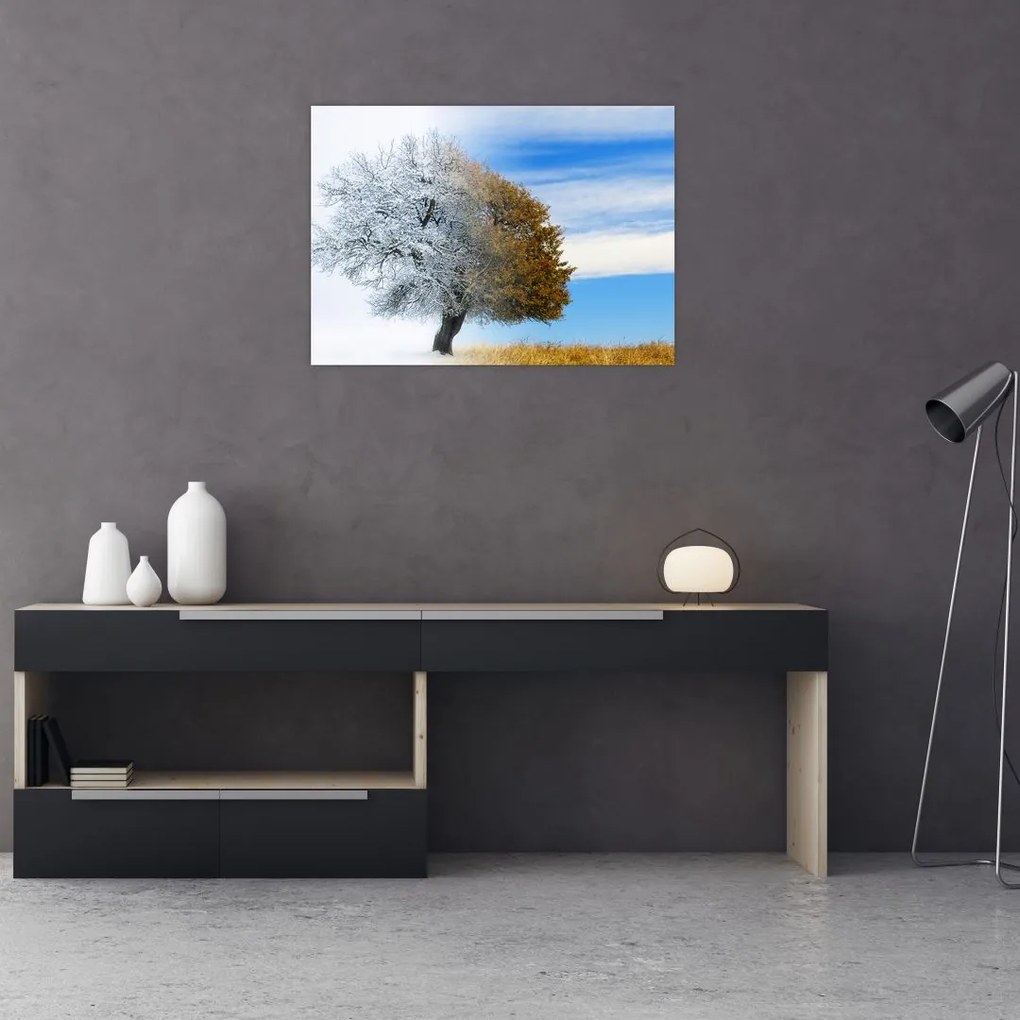 Tablou pe sticlă - Schimbarea anotimpurilor (70x50 cm)