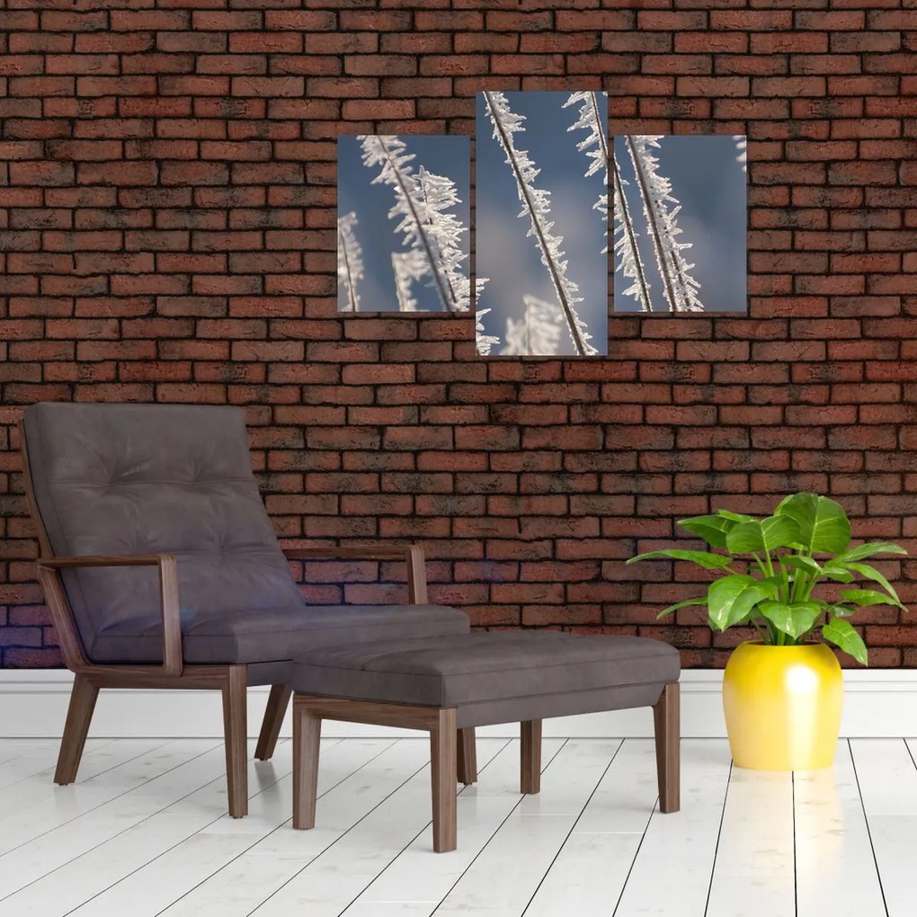 Tablou - Îngheț (90x60 cm)