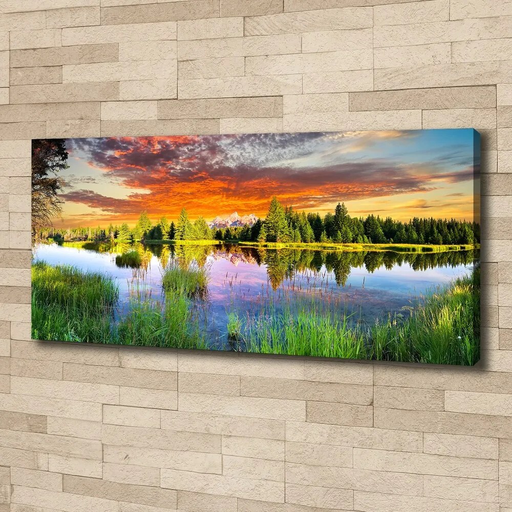 Tablou canvas Râul în pădure