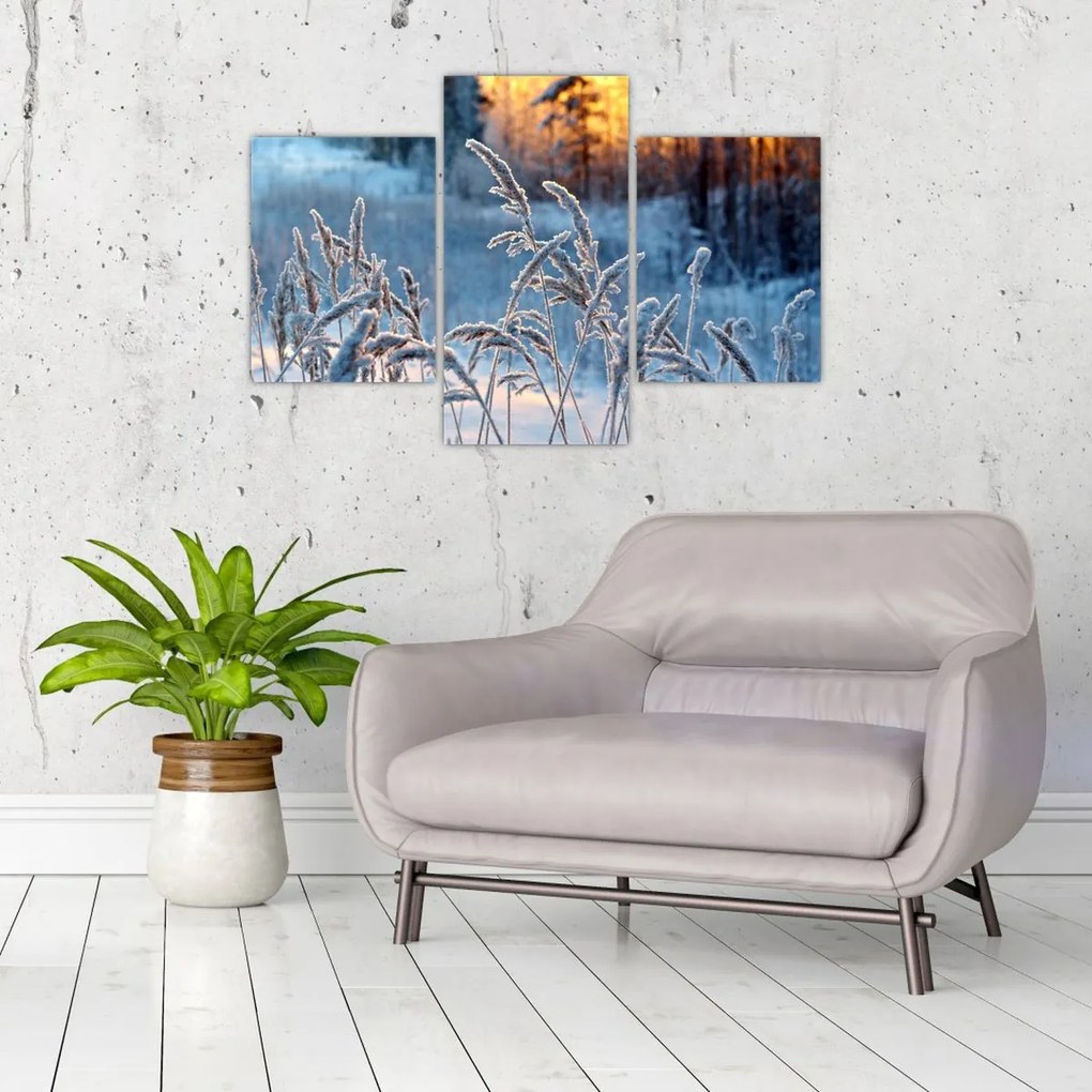 Tablou - Pajiște de iarnă (90x60 cm)