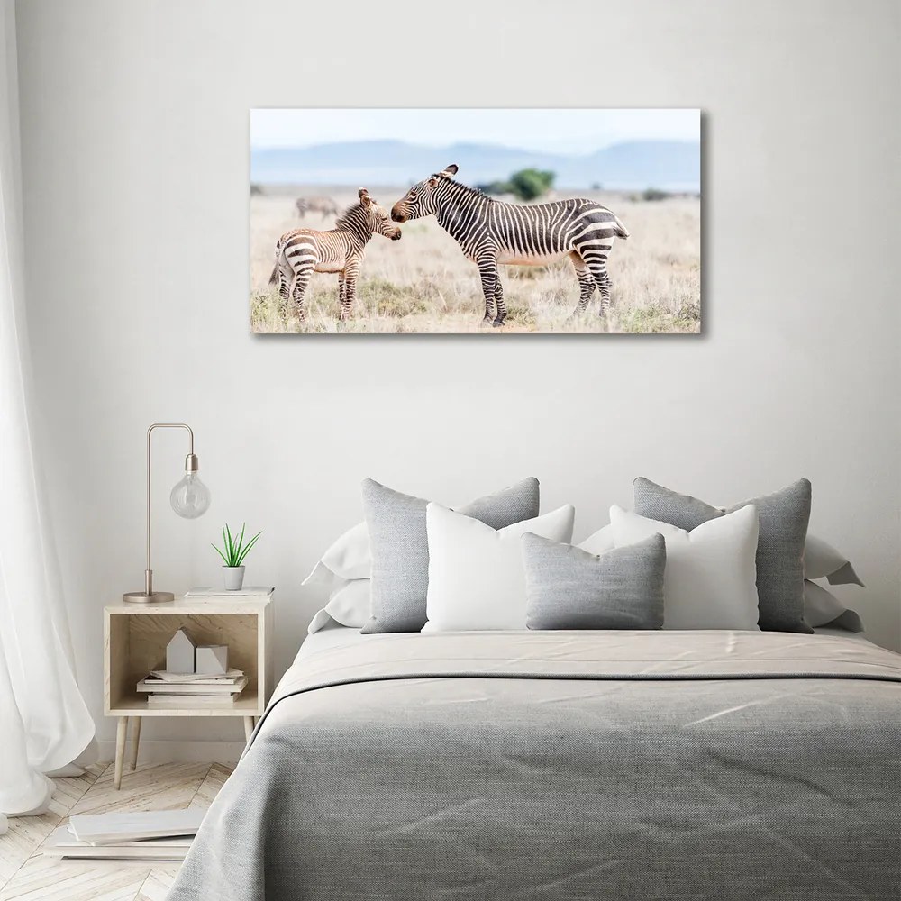Print pe canvas Zebre în munți