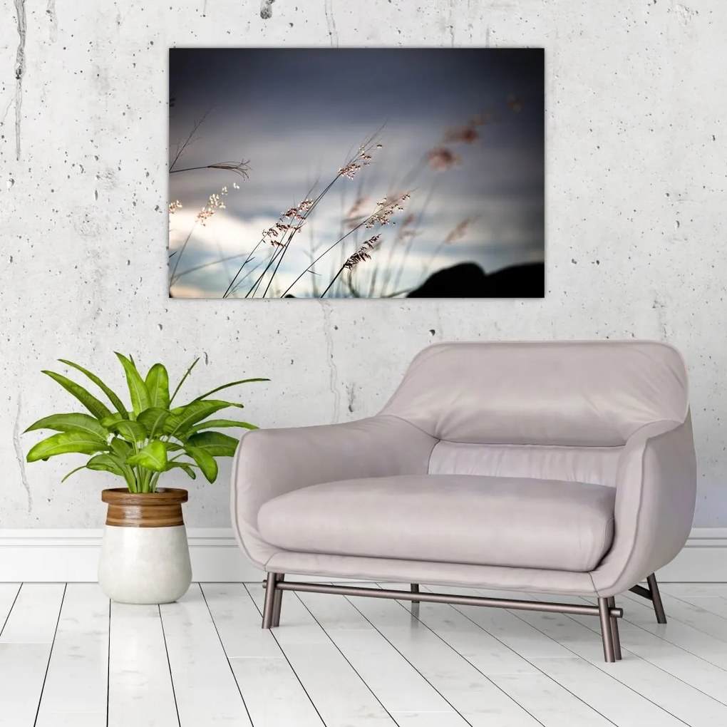 Tablou -Flori de luncă (90x60 cm)