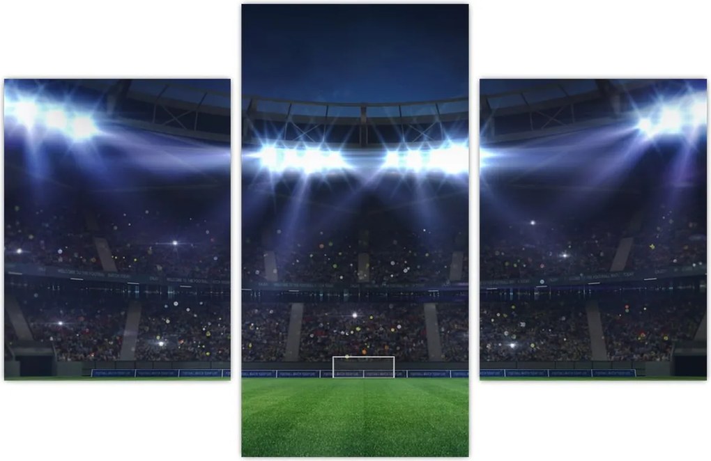 Tablou - Stadion de fotbal (90x60 cm)