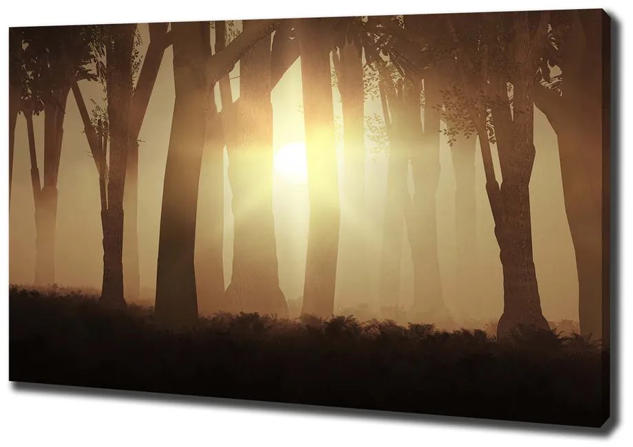 Imprimare tablou canvas Ceață în pădure