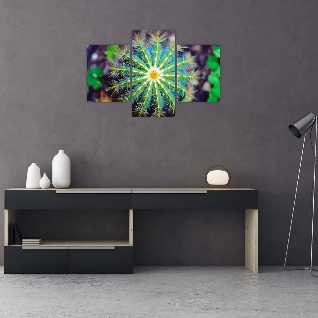 Tablou cu cactus (90x60 cm)