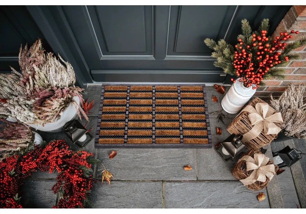 Covoraș de intrare 45x75 cm Mix Mats – Hanse Home