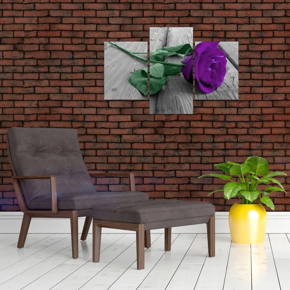 Tablou - Trandafir violet cu tulpina verde (90x60 cm)