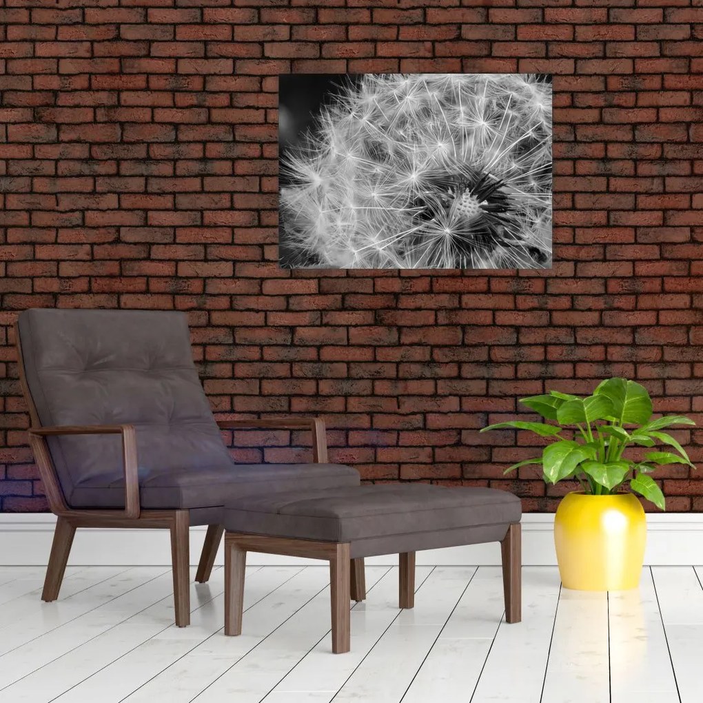 Tablou pe sticlă - mulțime de păpădii (70x50 cm)