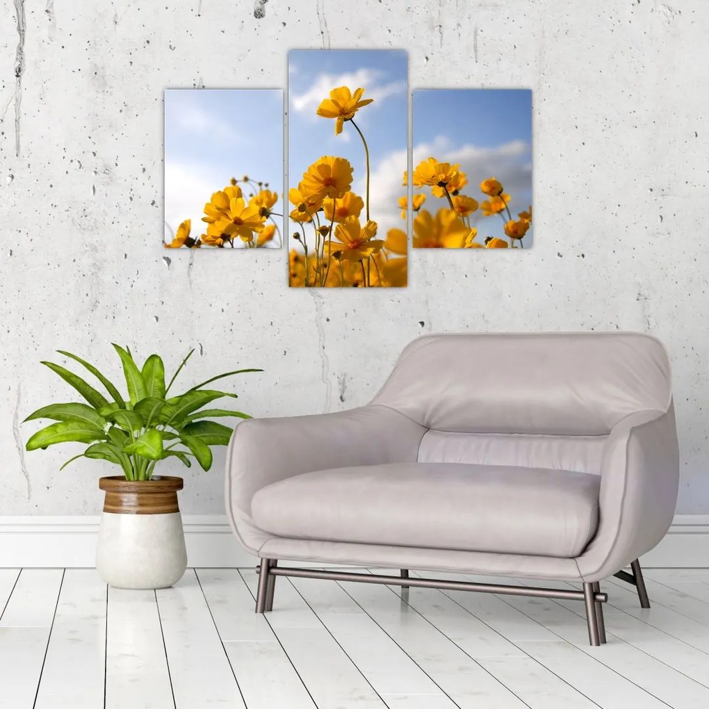 Tablou - Câmp cu flori galben deschis (90x60 cm)