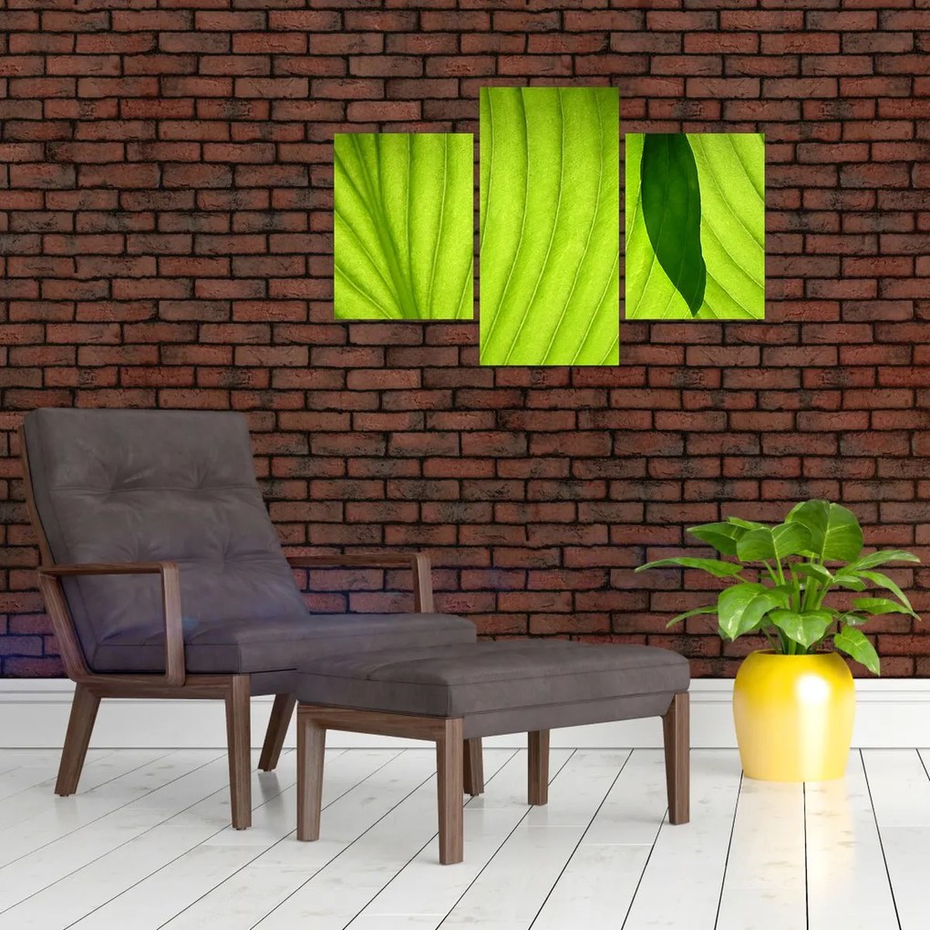 Tablou - Detaliu de frunză verde (90x60 cm)