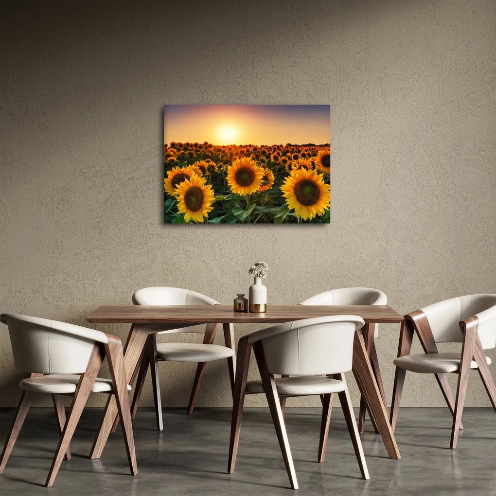 Tablou - Floarea soarelui (70x50 cm)