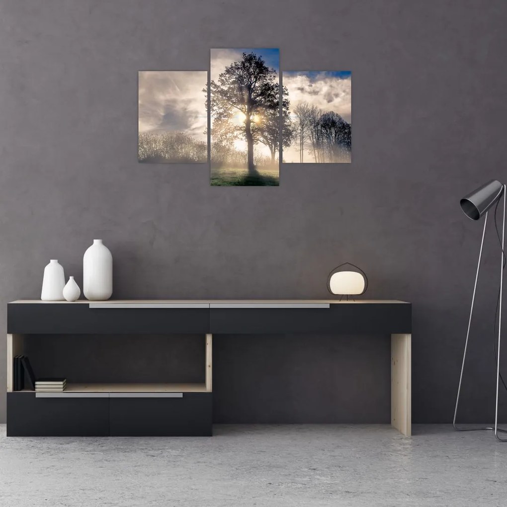 Tablou cu copac în ceață (90x60 cm)