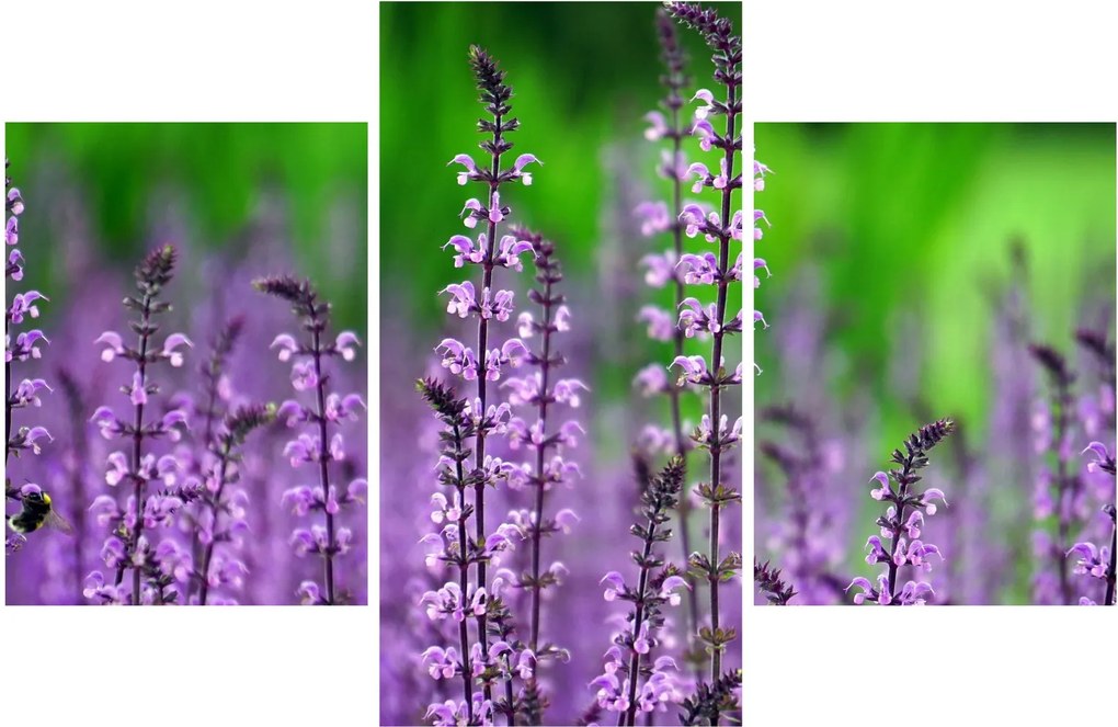 Tablou cu flori de luncă violete (90x60 cm)