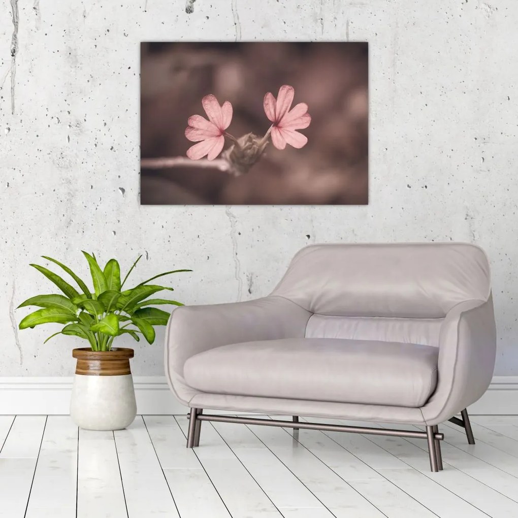 Tablou cu floare roz (70x50 cm)