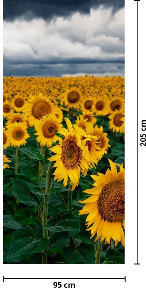 Fototapet pentru ușă - Câmp cu floare soarelui (95x205cm)