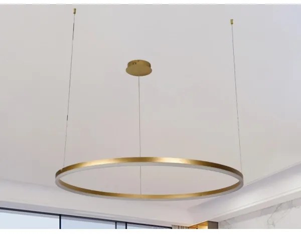 Lustră LED dimabilă pe cablu LED/55W/230V 3000-6500K + telecomandă