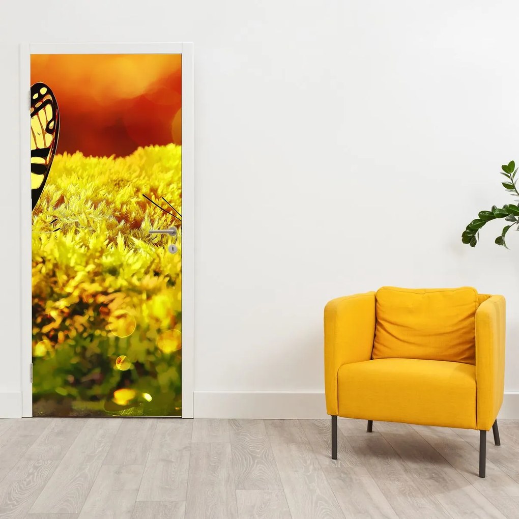 Fototapet pentru ușă - Fluturi (95x205cm)