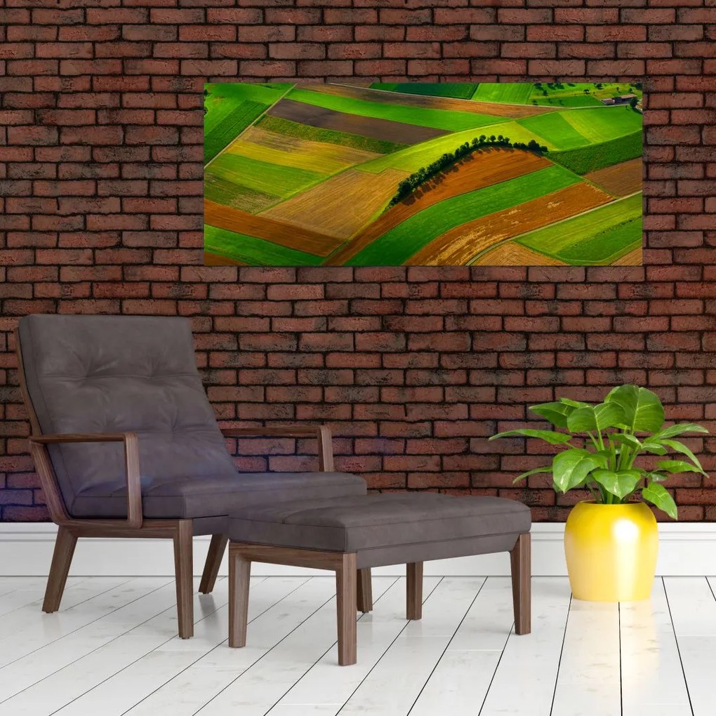 Tablou - Lan, luncile (120x50 cm)