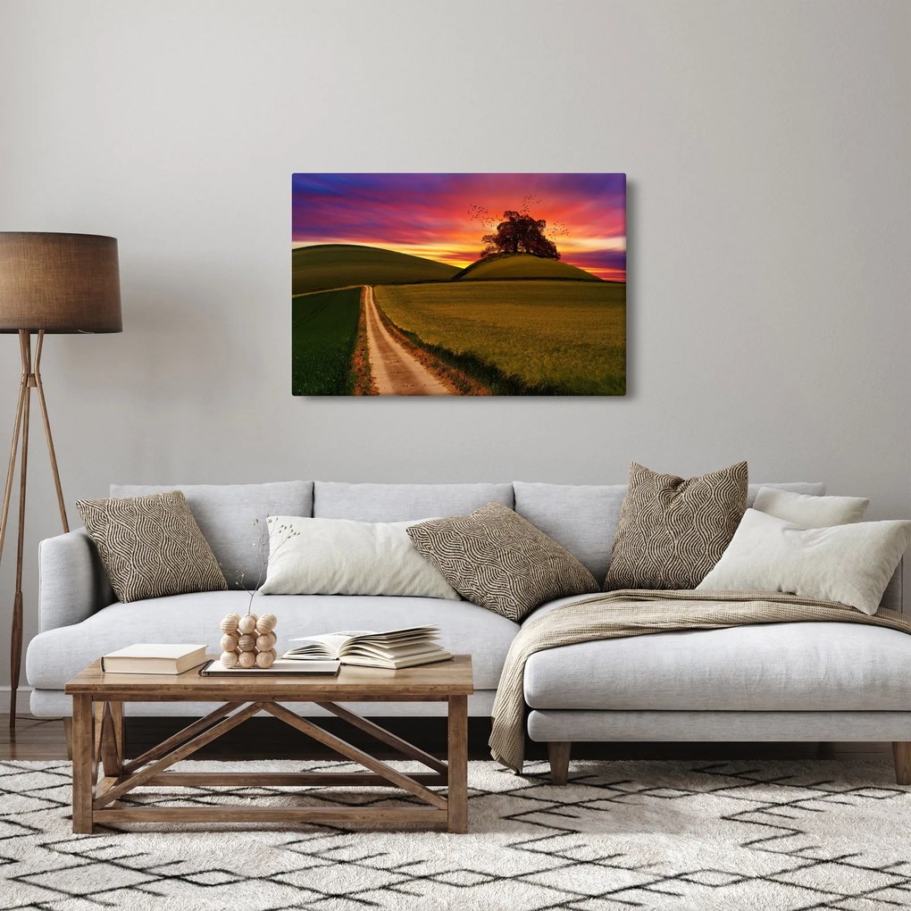 Tablou câmpului cu apus de soare (90x60 cm)
