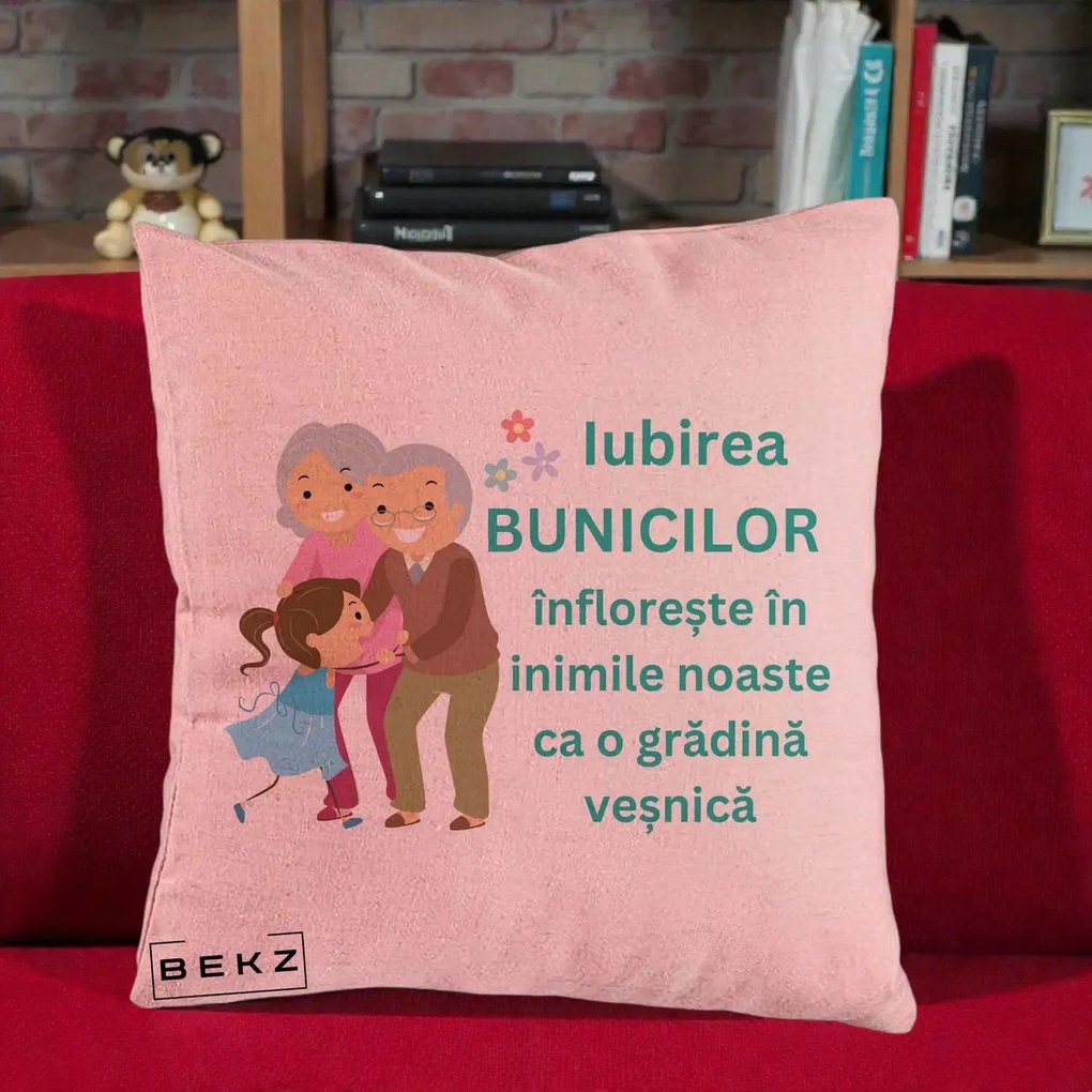 Cadou pentru Bunici - Perna Personalizata Bunicii Iubirea Infloreste cu Nepoata Teal, 40x40 cm, Roz, Husa Detasabila, Perna Inclusa, BEKZ®