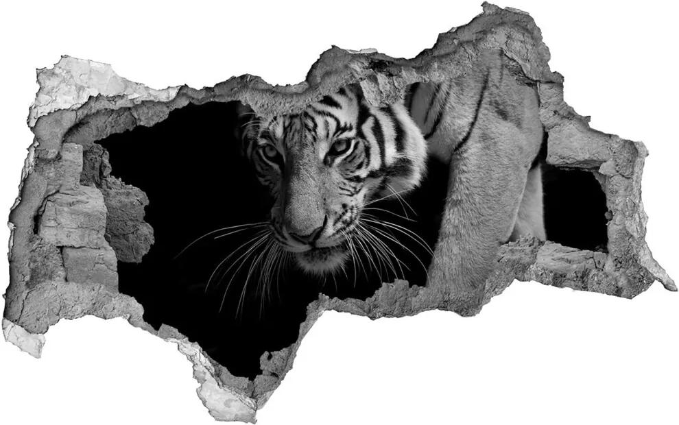 Fototapet un zid spart cu priveliște Tigru