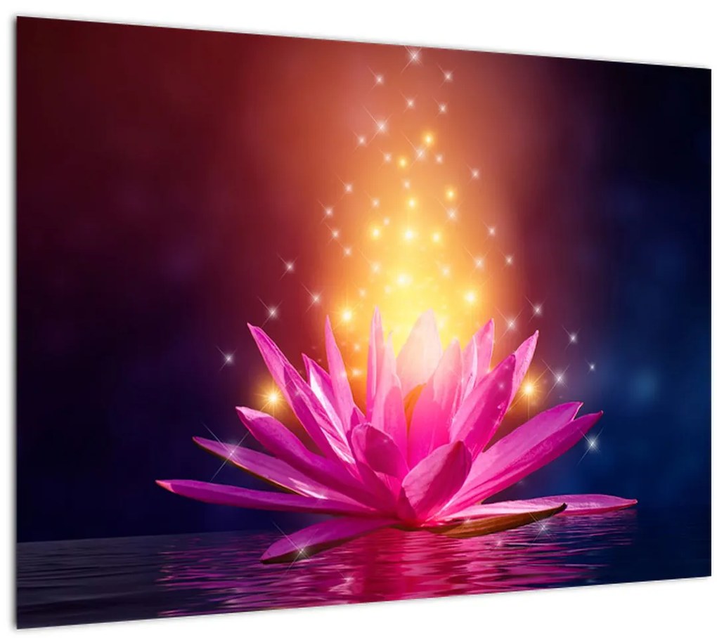 Tablou cu lotus pe apă (70x50 cm)