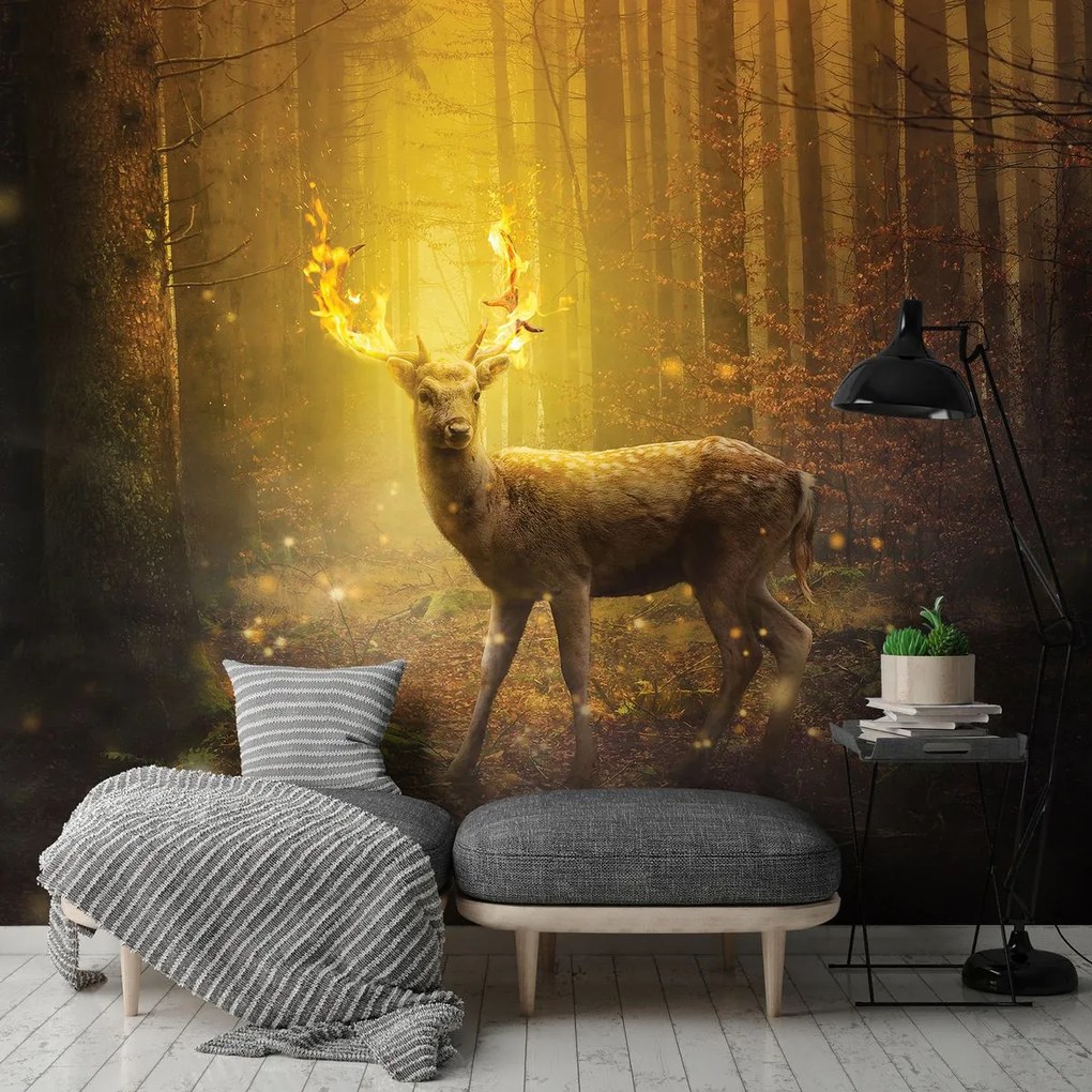 Fototapet - Cerb în lumina apusului de soare (152,5x104 cm)