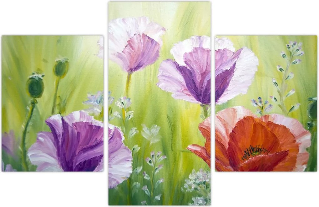 Tablou - Maci (90x60 cm)