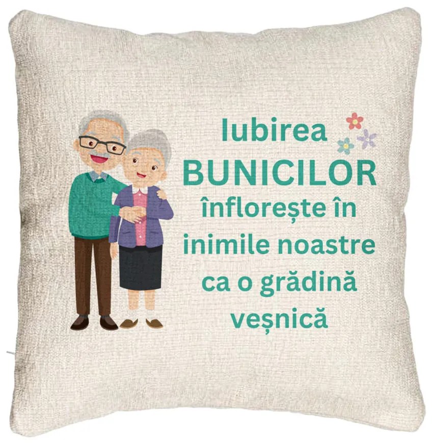 Perna Decorativa Canapea pentru Bunici 5, 40x40 cm, Cu fermoar