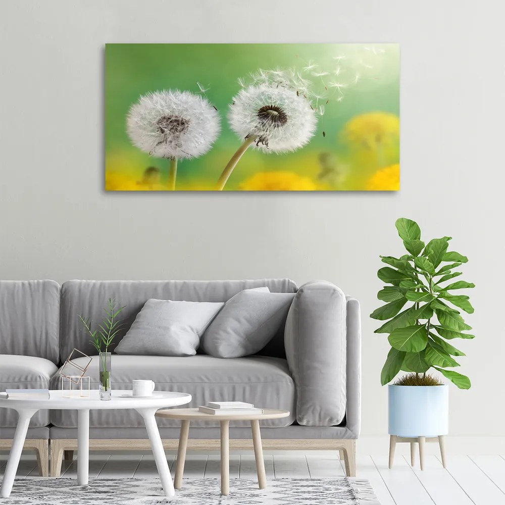 Tablou pe pânză canvas Păpădia
