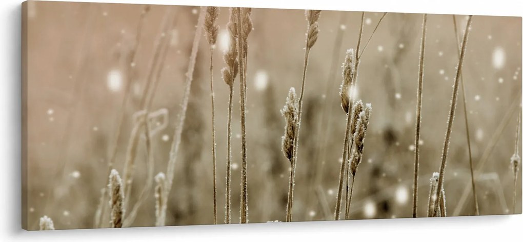 Tablou - Pajiște armonioasă (120x50 cm)