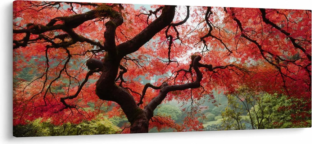 Tablou - Arțarul japonez roșu, Portland, Oregon (120x50 cm)