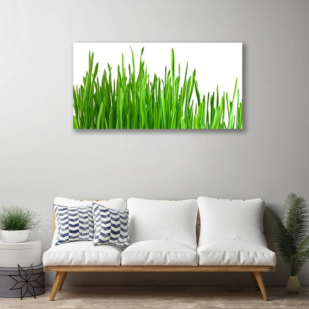 Tablou pe panza canvas Iarbă verde florale